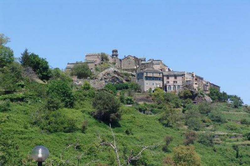 Location de vacances - Maison - Villa à Penta-di-Casinca