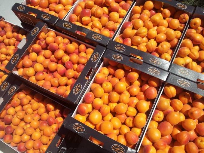 Location de vacances - Appartement à Le Barroux