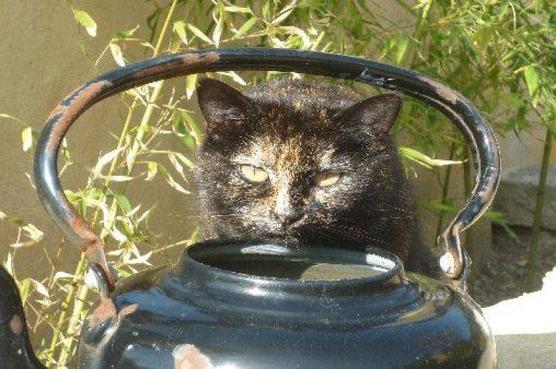 Location de vacances - Gîte à Saint-Paul-le-Jeune