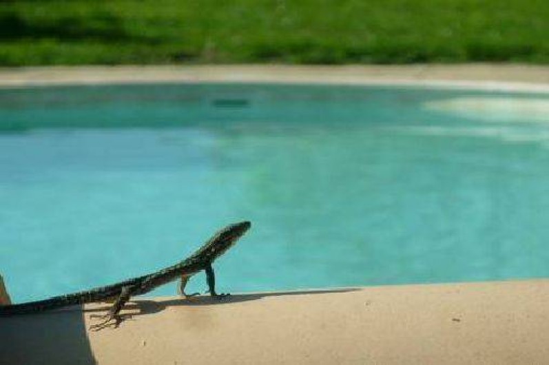 Location de vacances - Gîte à Saint-Paul-le-Jeune