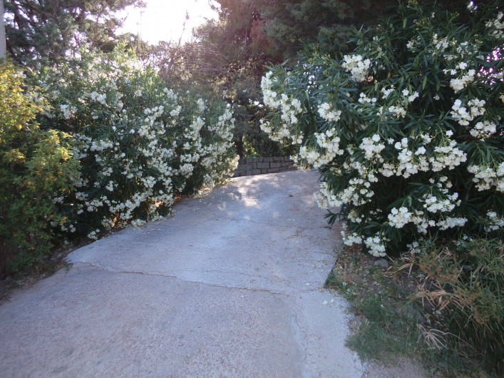 Location de vacances - Appartement à Porto-Vecchio - ENTREE