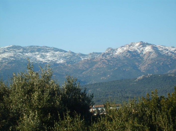 Location de vacances - Appartement à Porto-Vecchio - VUE MONTAGNE
