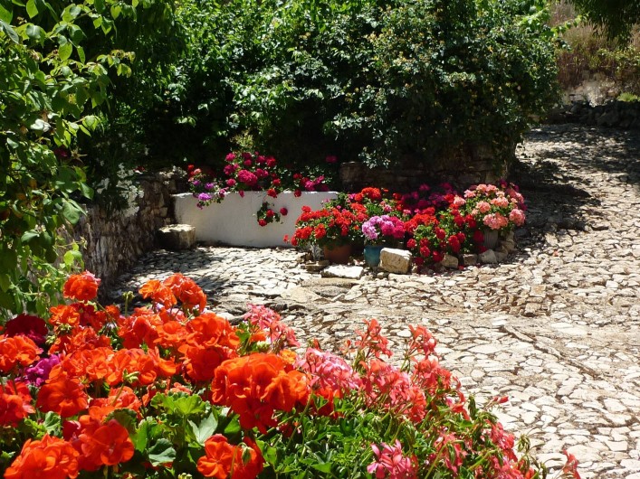 Location de vacances - Gîte à Fuentes de Cesna - Le jardin communal