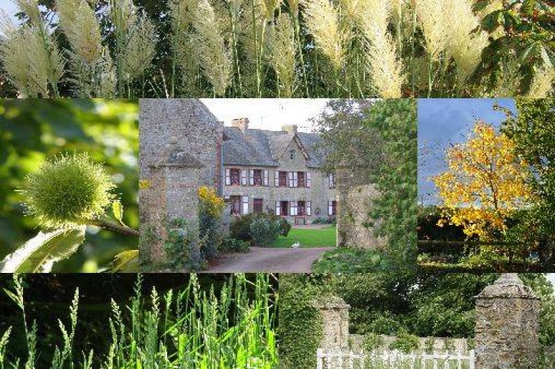 Location de vacances - Gîte à Raids