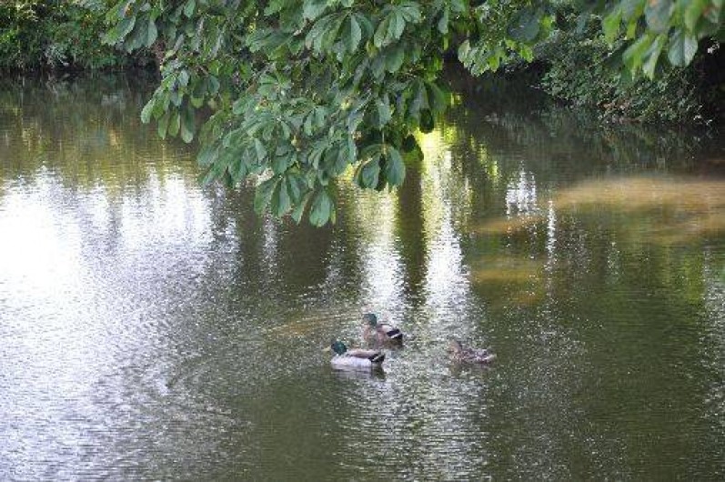 Location de vacances - Gîte à Raids