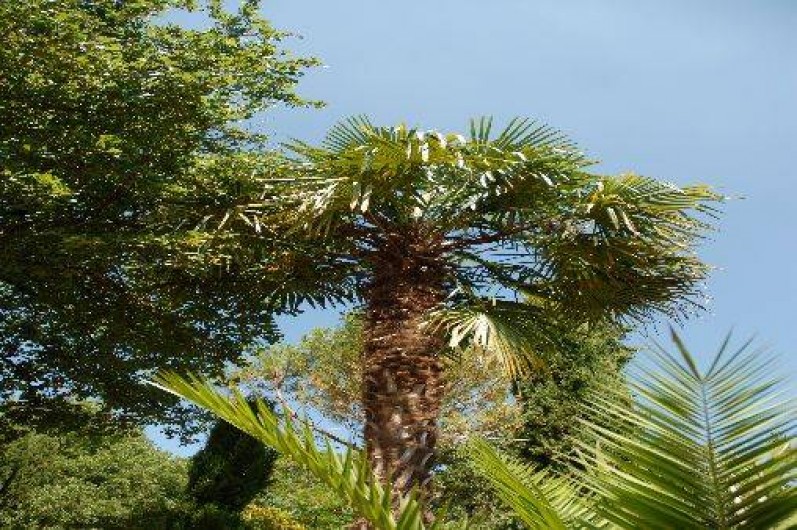 Location de vacances - Gîte à Castanet