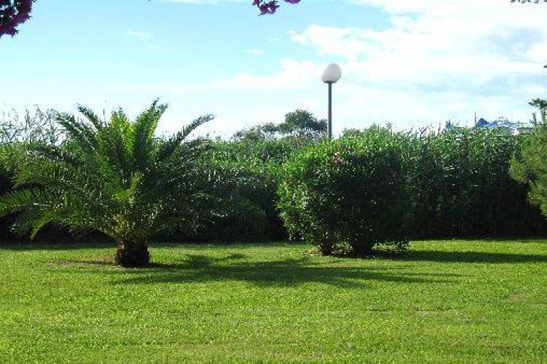 Location de vacances - Appartement à Ghisonaccia