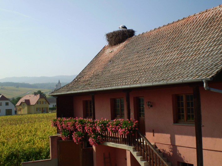 Location de vacances - Gîte à Hunawihr