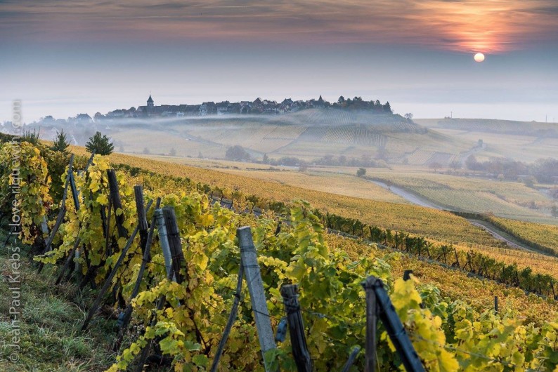 Location de vacances - Gîte à Hunawihr