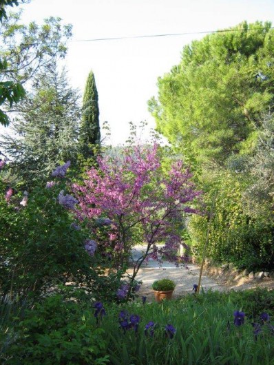 Location de vacances - Villa à Cotignac