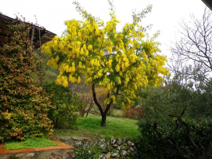 Location de vacances - Villa à Cotignac