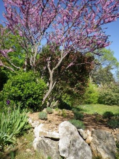 Location de vacances - Villa à Cotignac