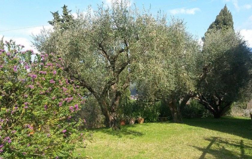 Location de vacances - Villa à Capezzano Pianore