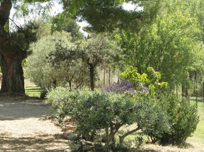Location de vacances - Gîte à Cucuron - L'extérieur