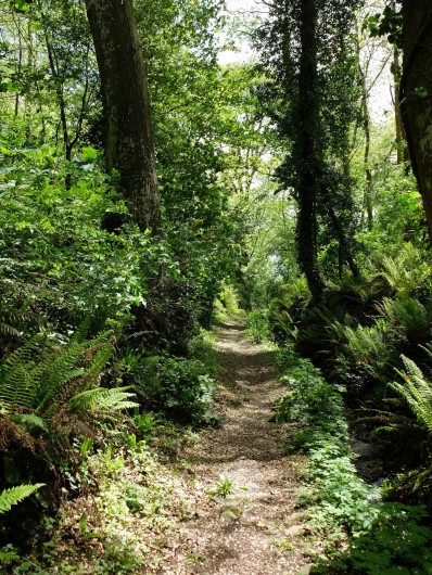 Location de vacances - Chalet à Plouër-sur-Rance - Le chemin jouxtant la propriété et qui descend a la mer en 3 mns