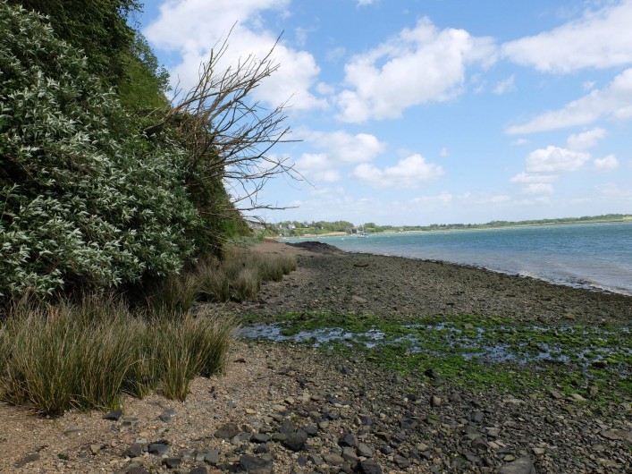 Location de vacances - Chalet à Plouër-sur-Rance - La mer (la rance ) a marée basse en bas de la maison