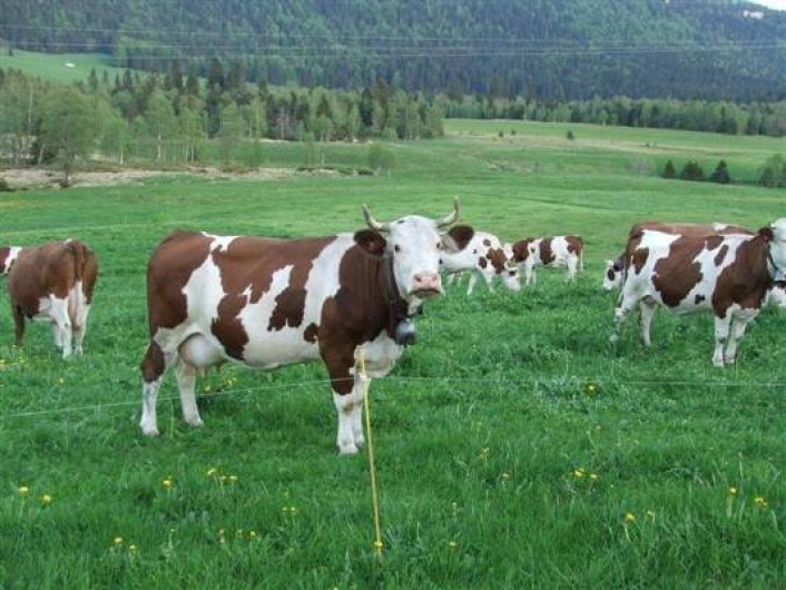 Location de vacances - Gîte à Chapelle-des-Bois