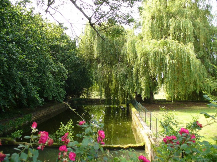 Location de vacances - Chambre d'hôtes à Cubnezais - Jardin