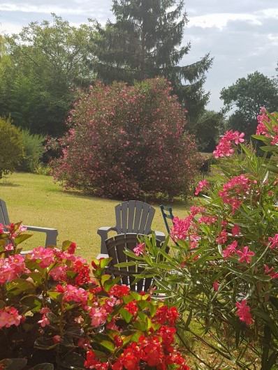 Location de vacances - Chambre d'hôtes à Cubnezais - Jardin