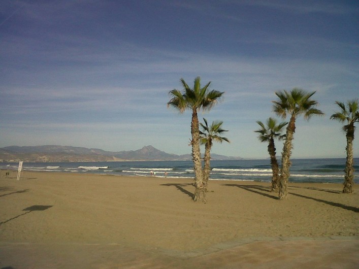 Location de vacances - Appartement à Alicante - La plage de San Juan, 7 kms de promenade !