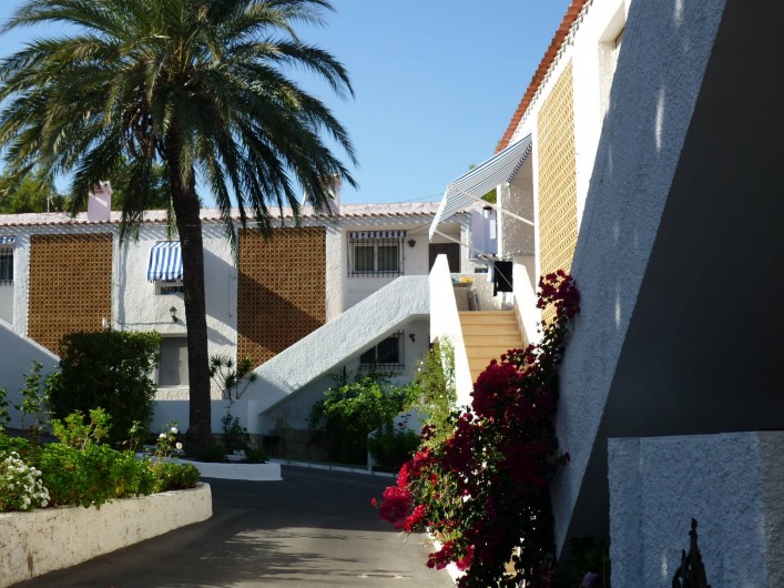 Location de vacances - Appartement à Alicante - La maison est derrière le palmier, au premier étage.