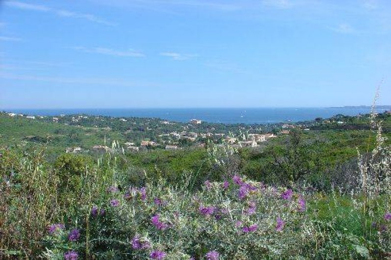 Location de vacances - Appartement à Les Issambres