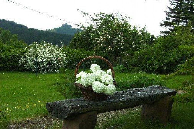 Location de vacances - Maison - Villa à Dabo