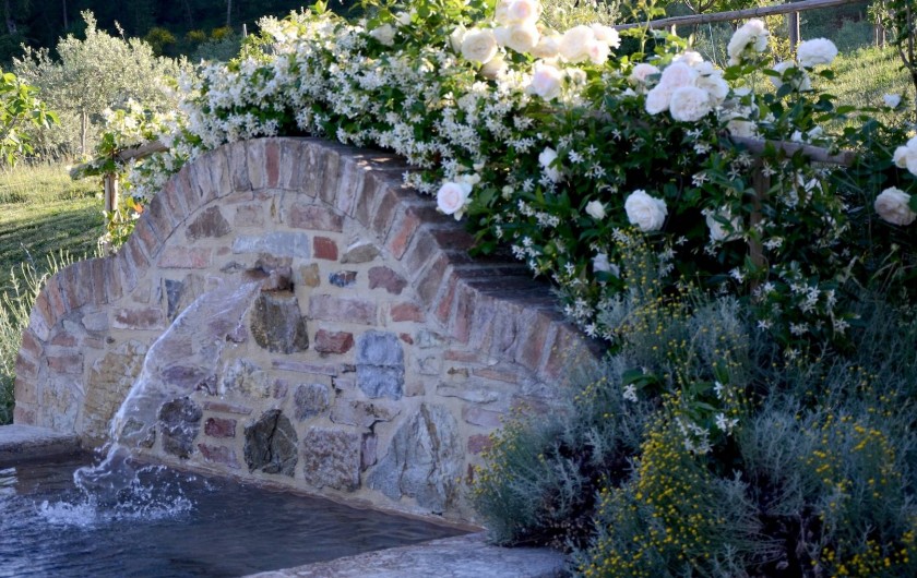Location de vacances - Mas à Montepulciano - Le petit bassain