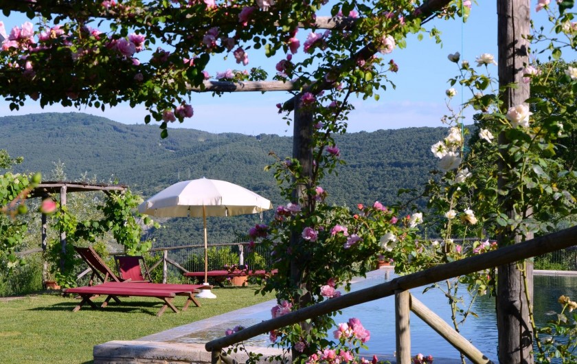 Location de vacances - Mas à Montepulciano - Vers la piscine
