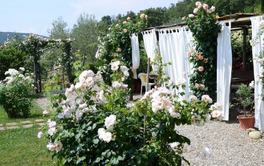 Location de vacances - Mas à Montepulciano - La pergola