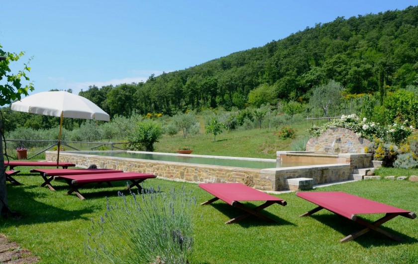 Location de vacances - Mas à Montepulciano - Piscine