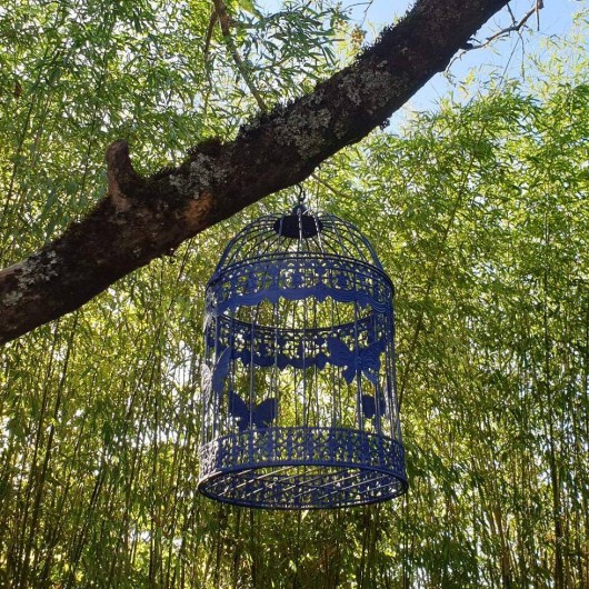 Location de vacances - Gîte à Saint-Rabier - A l'ombre du paulownia auprès des bambous