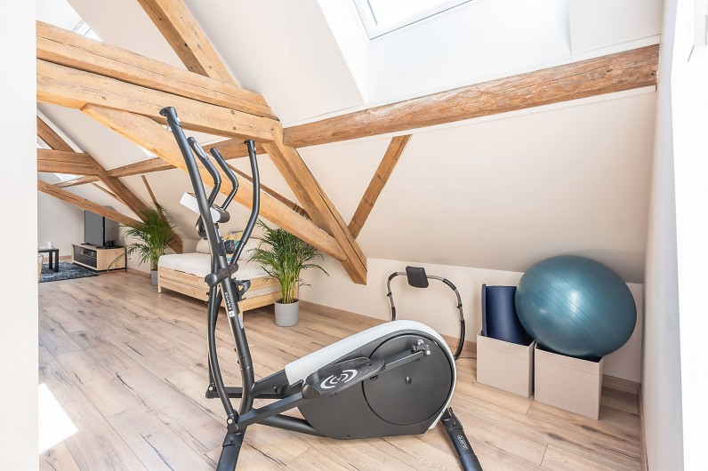 Location de vacances - Gîte à Ungersheim - La Salle de Jeu / Coin Fitness