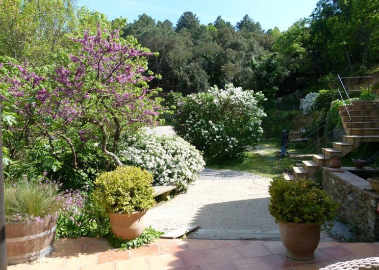 Location de vacances - Chambre d'hôtes à La Garde-Freinet