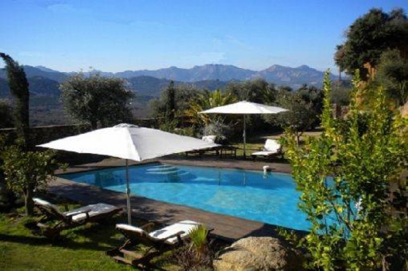Location de vacances - Maison - Villa à Calvi - Piscine chauffée