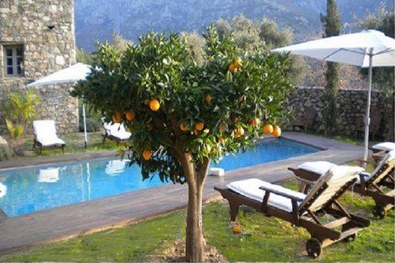 Location de vacances - Maison - Villa à Calvi - Oranger