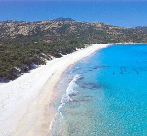 Location de vacances - Maison - Villa à Calvi