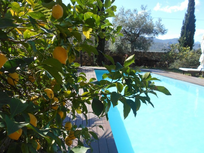 Location de vacances - Maison - Villa à Calvi