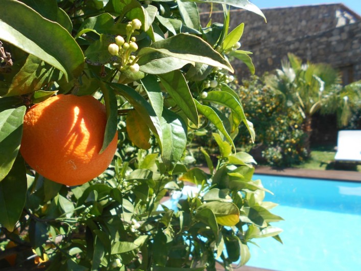 Location de vacances - Maison - Villa à Calvi