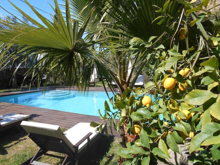 Location de vacances - Maison - Villa à Calvi