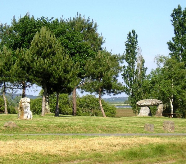 Location de vacances - Gîte à Béganne - Loisir: Site gallo-romains du Rohello (pique-nique possible)