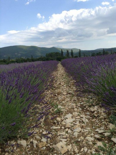 Location de vacances - Villa à Maubec