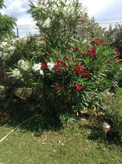 Location de vacances - Villa à Maubec