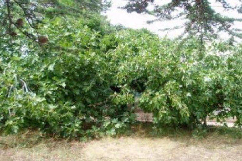 Location de vacances - Villa à Macinaggio