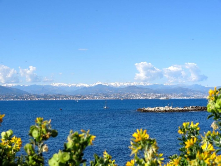 Location de vacances - Appartement à Antibes