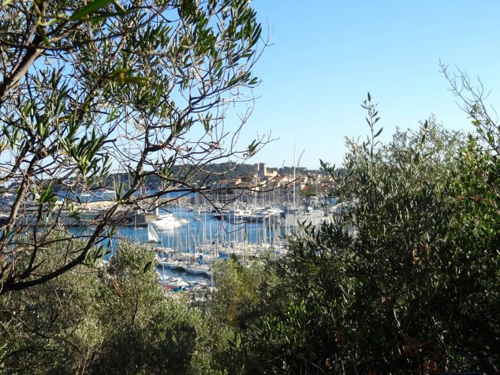 Location de vacances - Appartement à Antibes