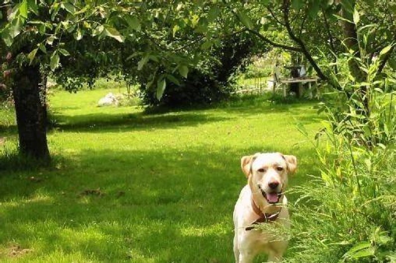 Location de vacances - Appartement à Bagnac-sur-Célé - Jardin