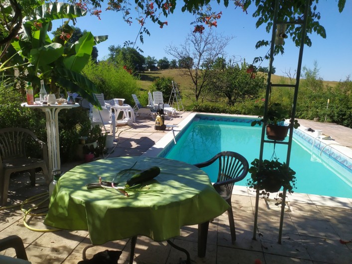 Location de vacances - Appartement à Bagnac-sur-Célé - Piscine côté Sud.terrasse donnant sur séjour propriétaire