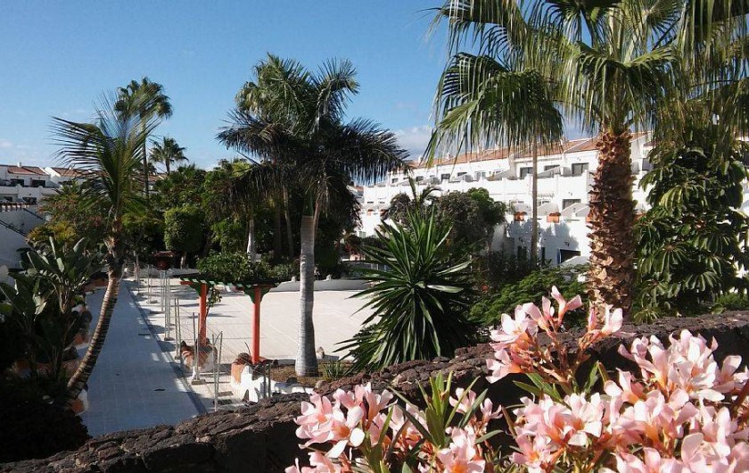 Location de vacances - Appartement à Costa del Silencio
