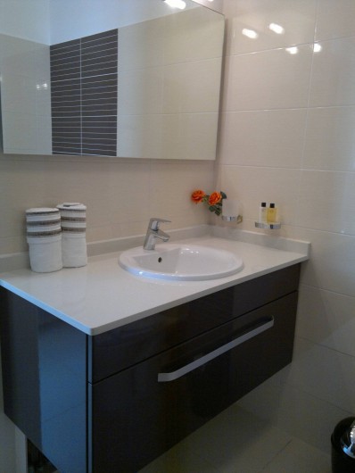 Location de vacances - Maison - Villa à Les Trois-Îlets - salle de bain 2